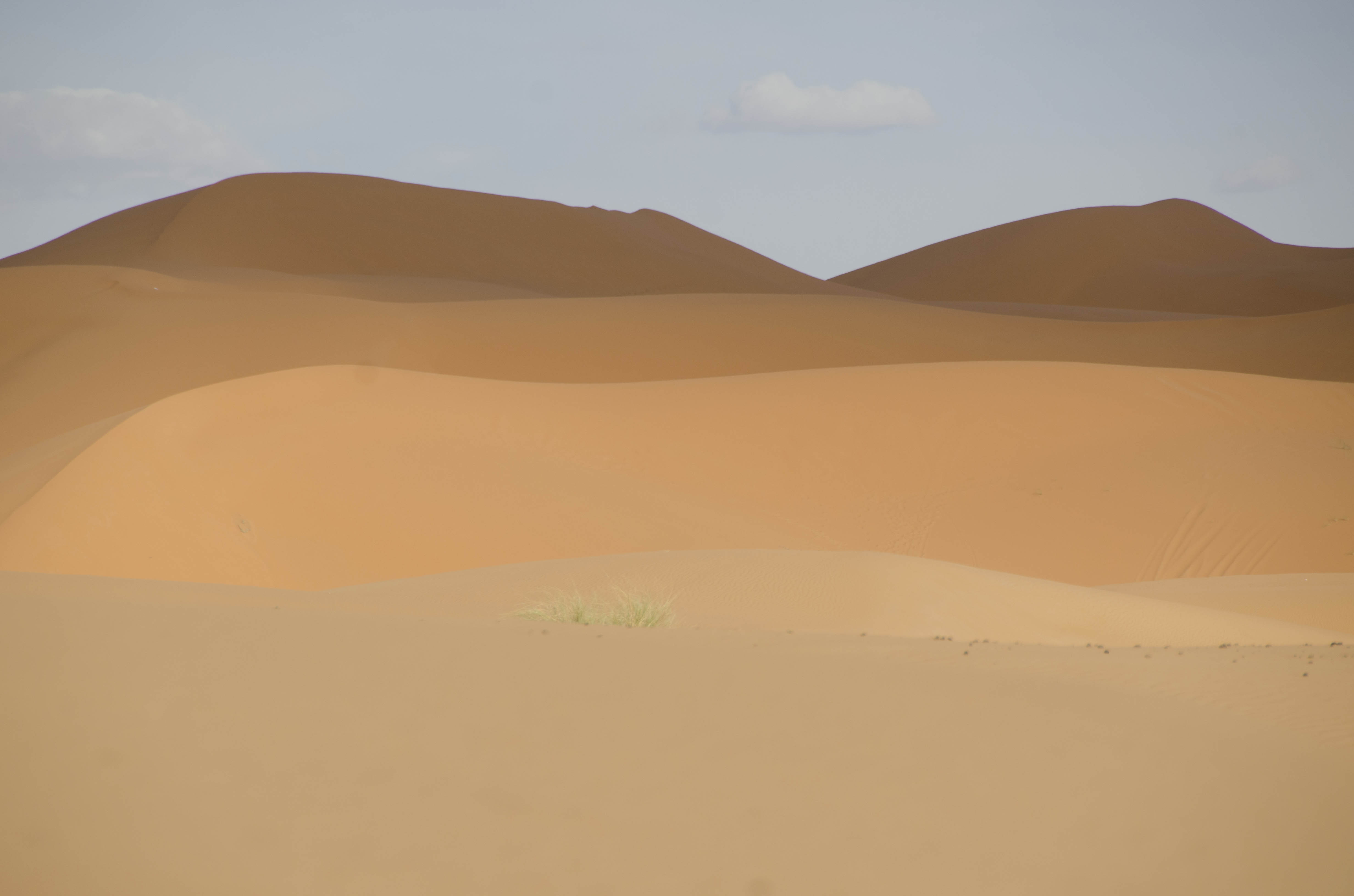 Desert near Erfoud
