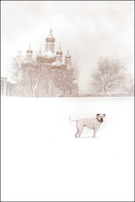 White Dog in Snow, Patterson Park Baltimore manipulated landscape archival pigment print