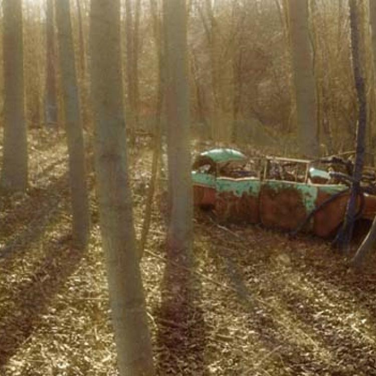 Car in Woods, Daniels