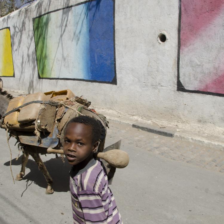 Little Boy and Donkey, Harar, 