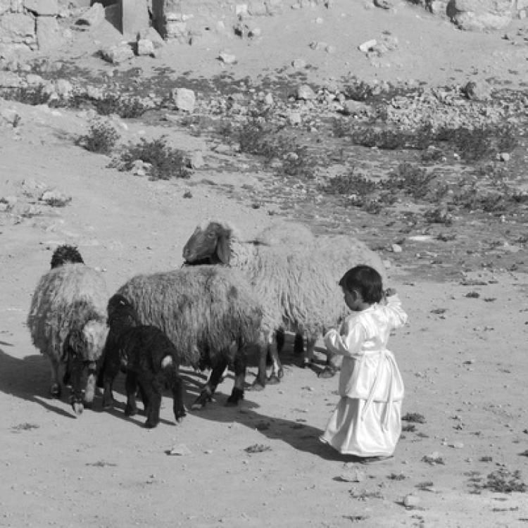 Beehive Villages of Syria