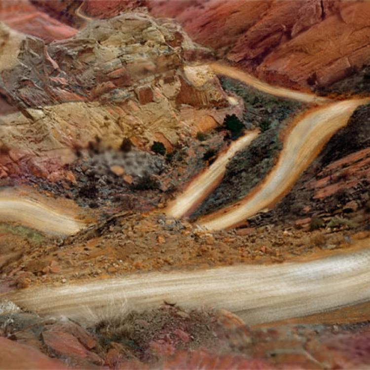  Burr's Heart manipulated landscape archival pigment print