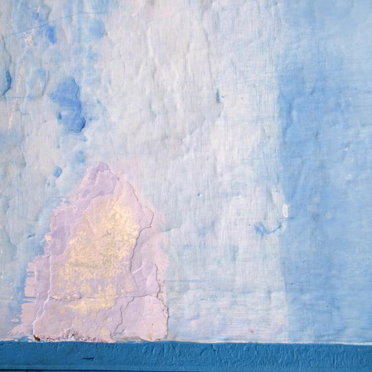 paint blossom