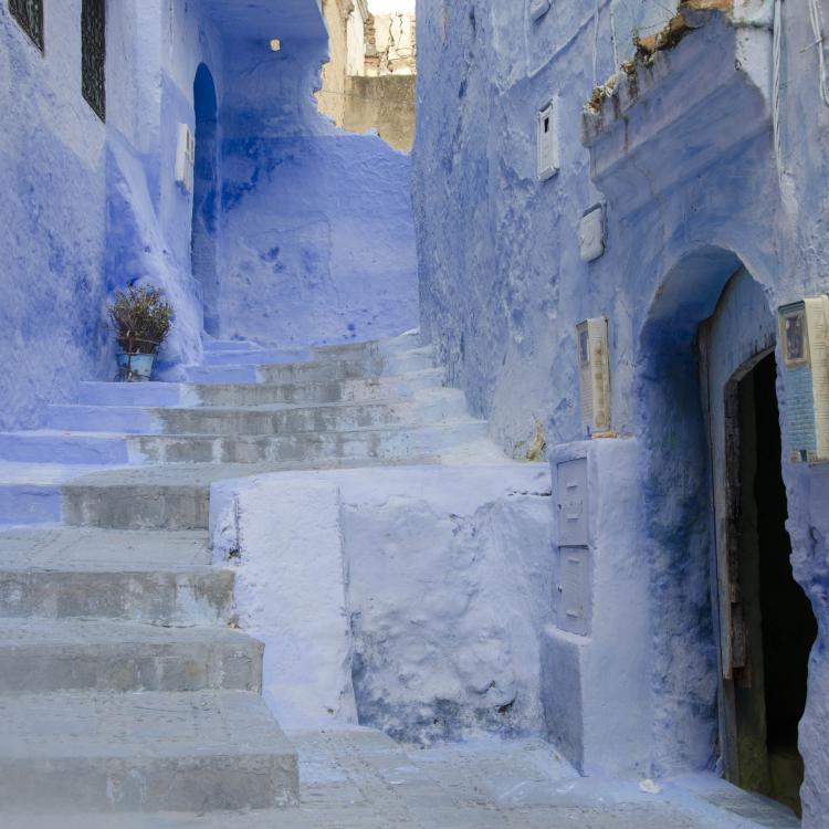 Blue steps