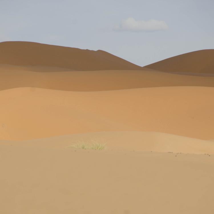 Desert near Erfoud