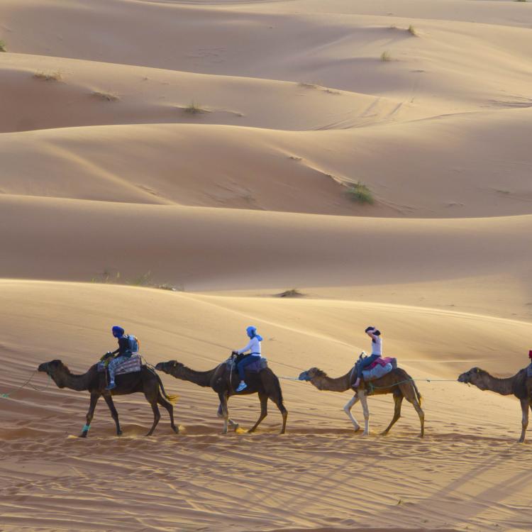 Caravan