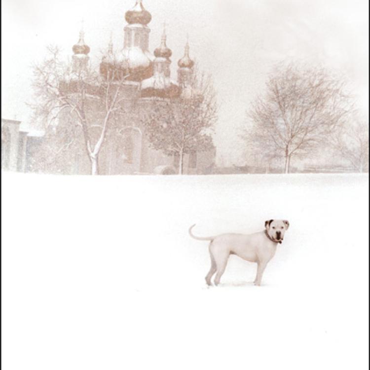 White Dog in Snow, Patterson Park Baltimore manipulated landscape archival pigment print
