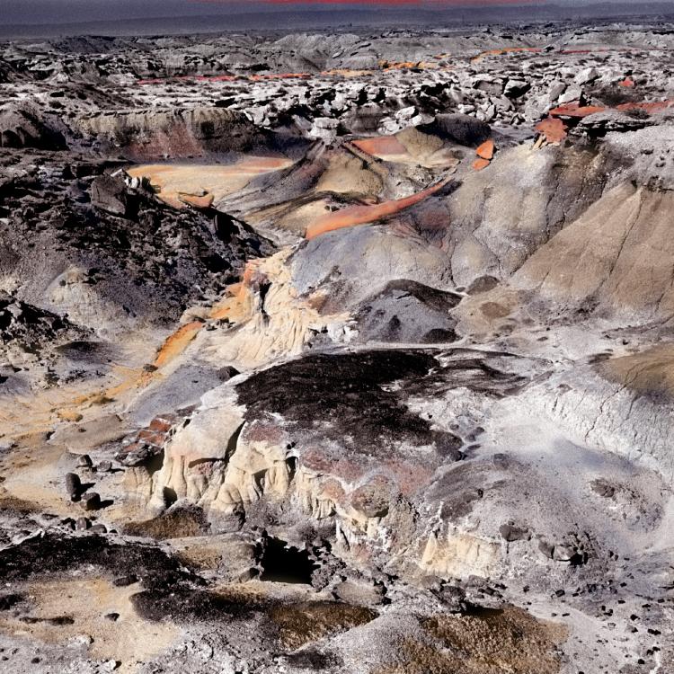 Hand colored archival pigment print