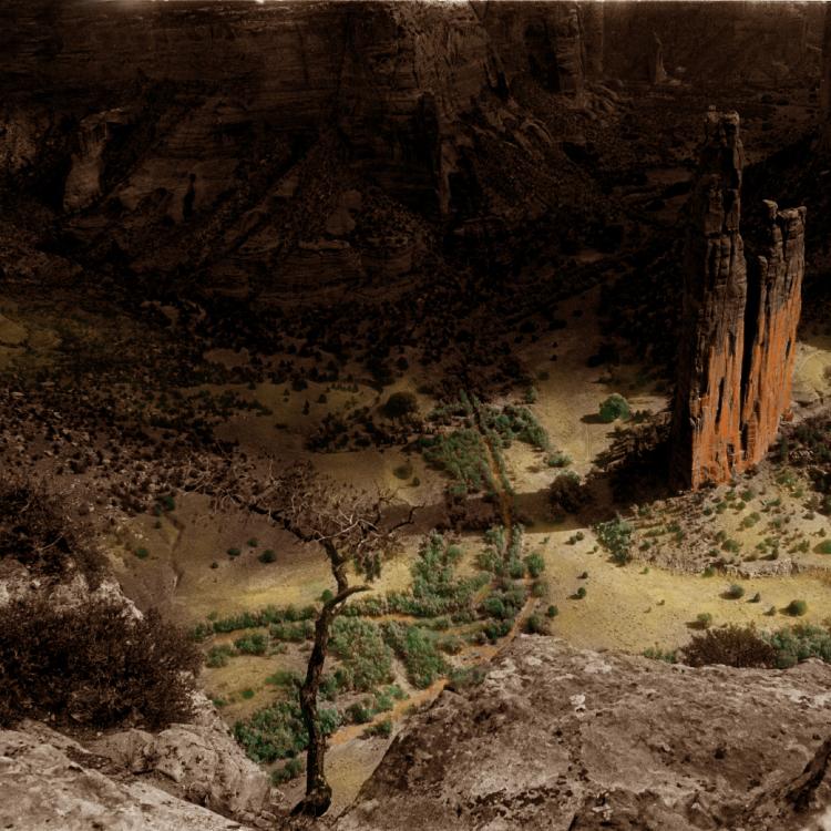 Hand colored archival pigment print
