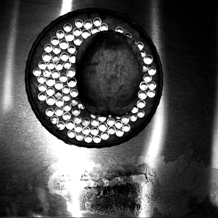 Fundamental Constant