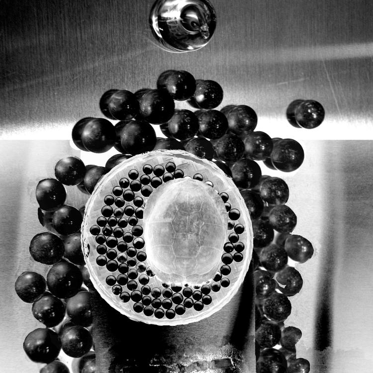 Uncertainty Principle