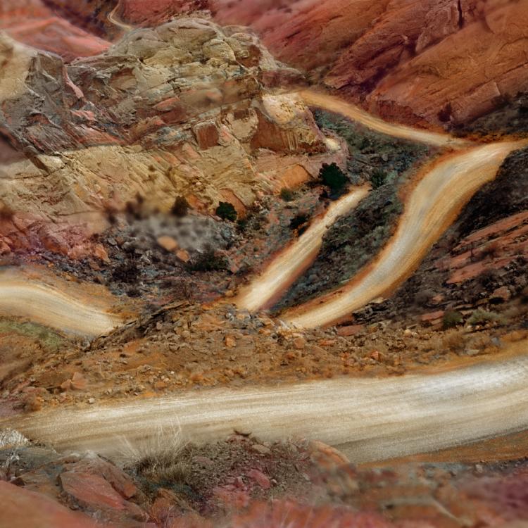 Manipulated Archival Pigment Print